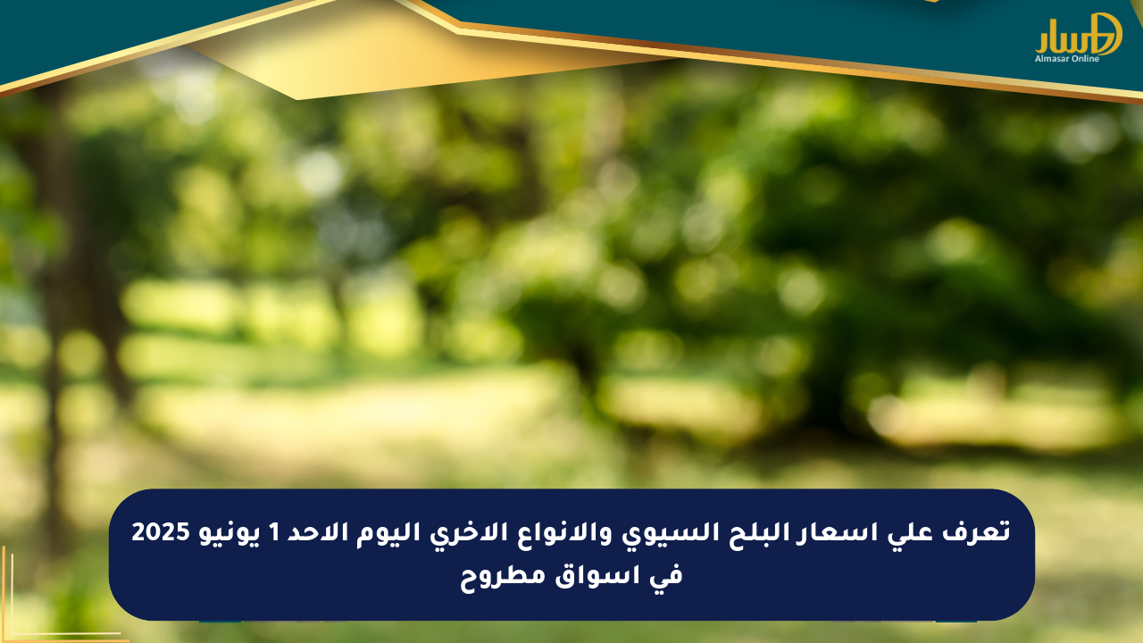 تعرف على أسعار البلح السيوي والأنواع الأخرى اليوم الأحد 1 يونيو 2025 في أسواق مطروح